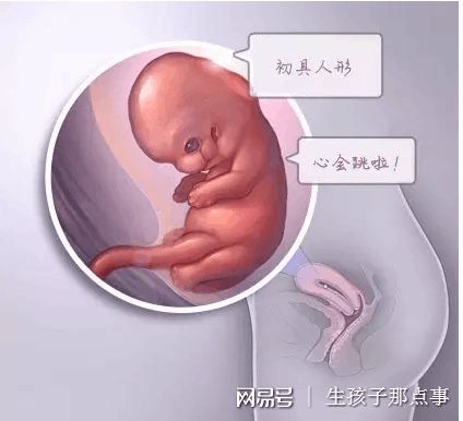 国内那里有借卵代孕